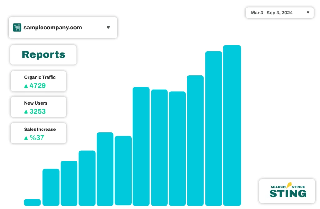 Report chart demonstrating successful e-commerce SEO leading to a 37% sales increase