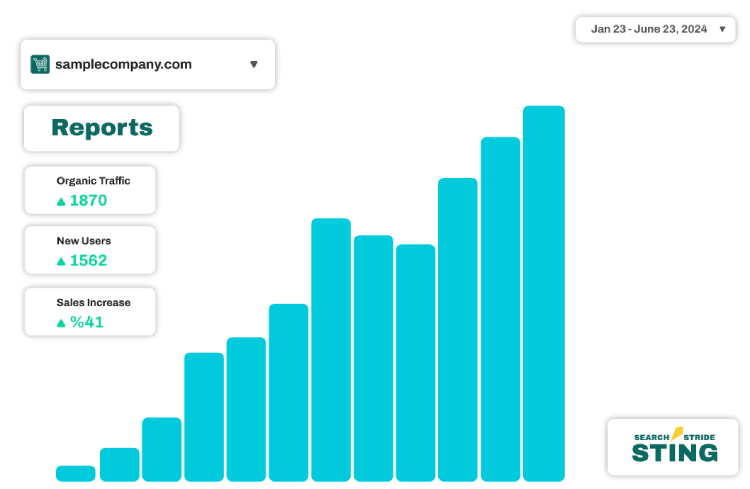 Visual representation of ECommerce SEO growth