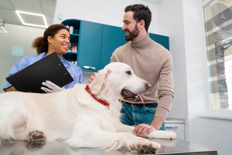 Happy pet owner with their dog and a smiling veterinarian, delighted to have found the right small business vet clinic.