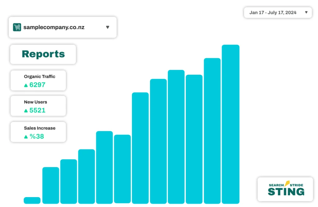Report chart demonstrating successful e-commerce SEO in New Zealand