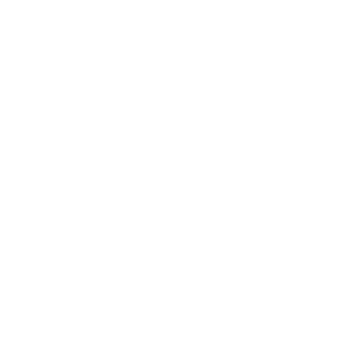electrician icon